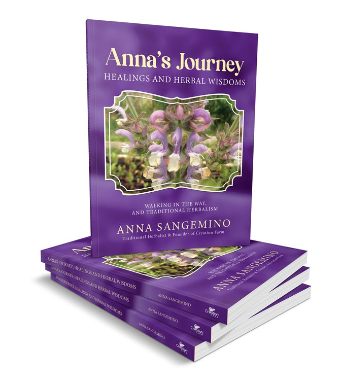 🌿 Anna’s Journey: Healing and Herbal Wisdoms