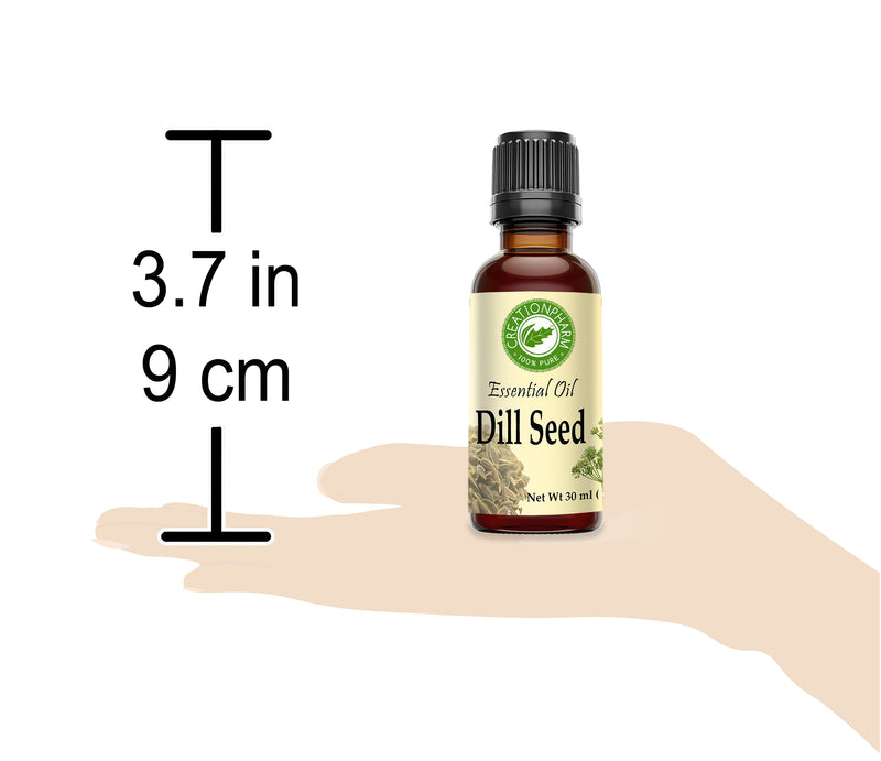 Dill Essential Oil 100% Pure from Creation Pharm -  Aceite esencial de eneldo - Creation Pharm