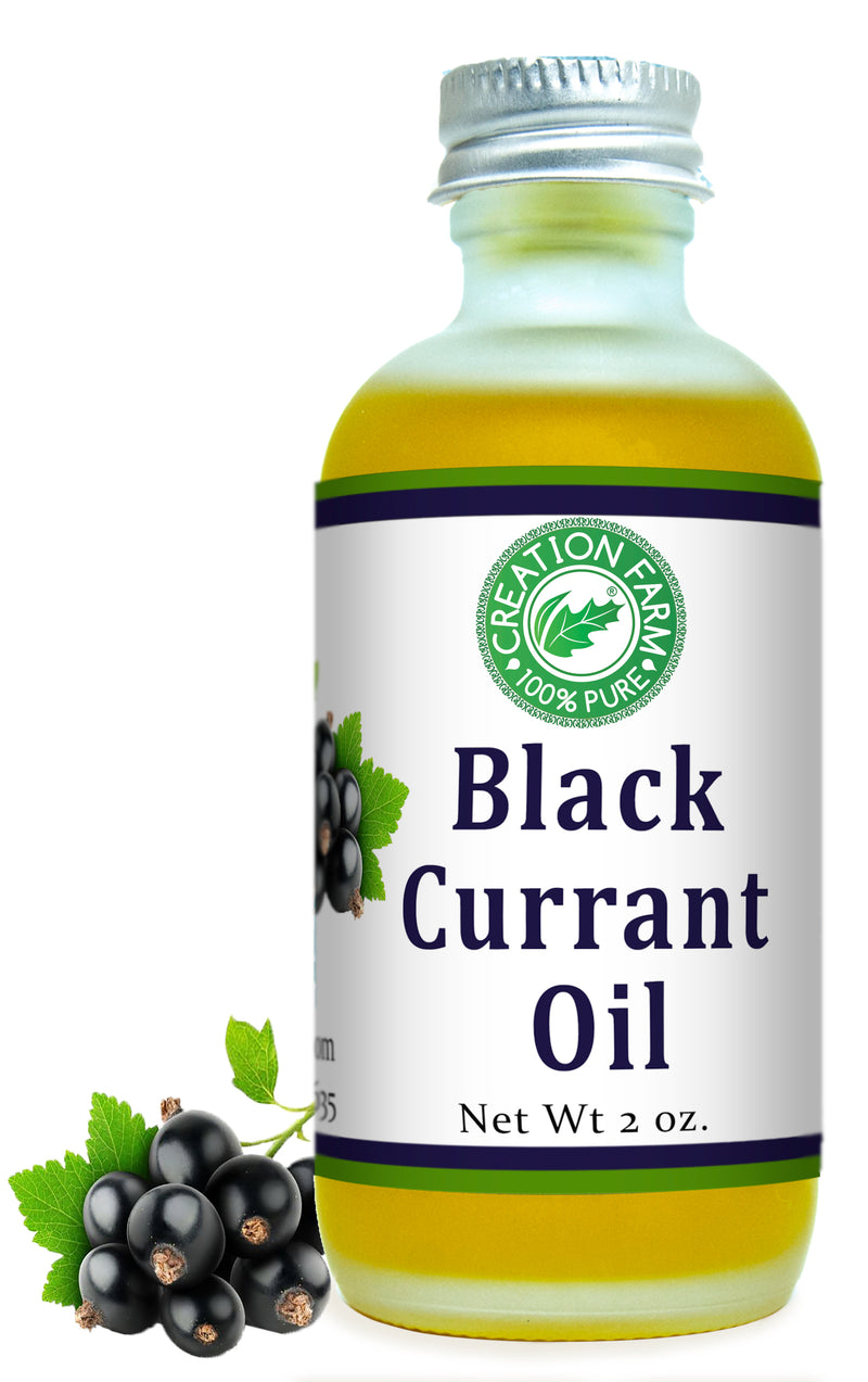 Black Currant Oil 2 Oz Frosted Bottle - Creation Pharm