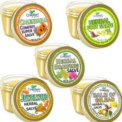 10 Jars of Salve, 2 Jars of each of or 5 most popular Salve